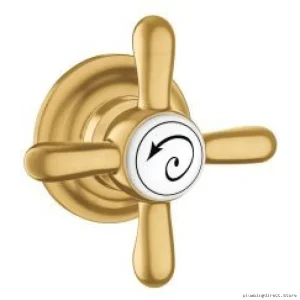 Moen Weymouth Brushed Gold Finish Toilet Tank Lever YB8401BG