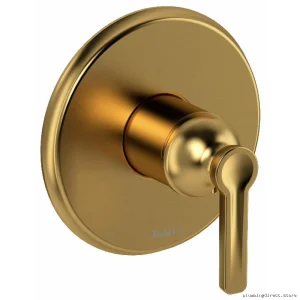 Brushed Gold Pressure Balance Shower Valve Trim by Momenti RIOBEL