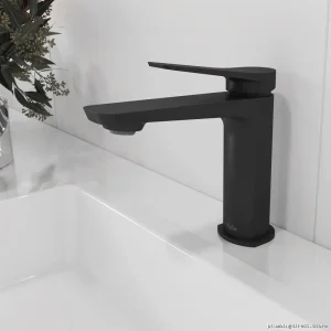 Moroka Low-Flow Single Hole Bathroom Faucet - Matte Black Kalia BF1910