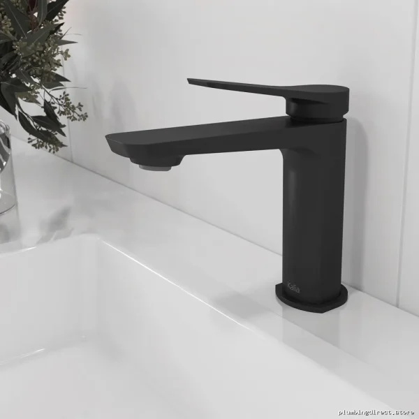 Moroka Low-Flow Single Hole Bathroom Faucet - Matte Black Kalia BF1910