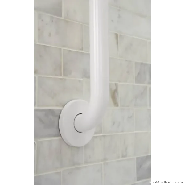 Home Safety 24-Inch Non-Slip Grab Bar - Moen Glacier R8724W