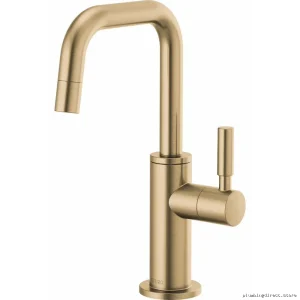 Odin Premium Beverage Faucet - Luxe Gold Finish 61365LF-C-GL Brizo