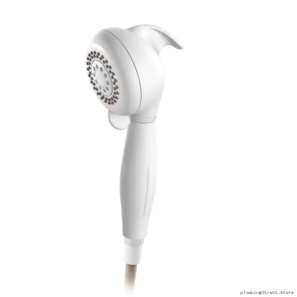 Palm-Fit Hand Shower for Bathroom - Home Care Glacier DN8010 Moen