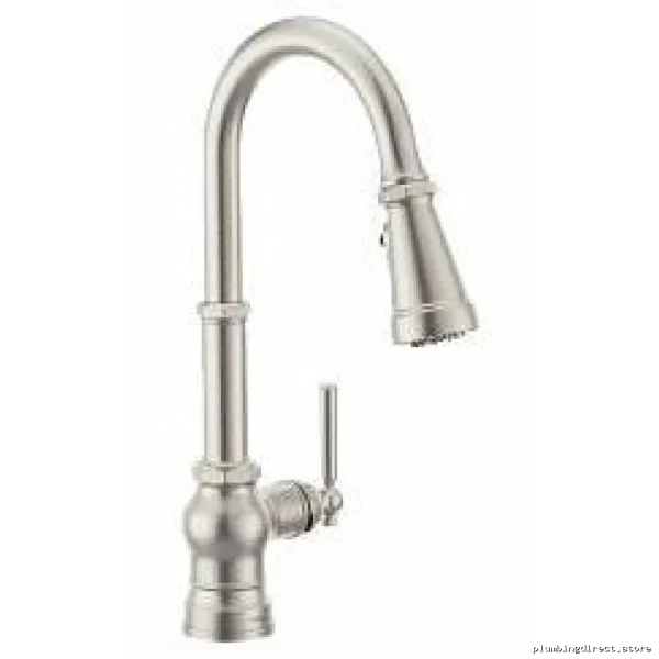 Spot-Resistant 3-in-1 Filtration Kitchen Faucet with Pulldown Spray | Paterson