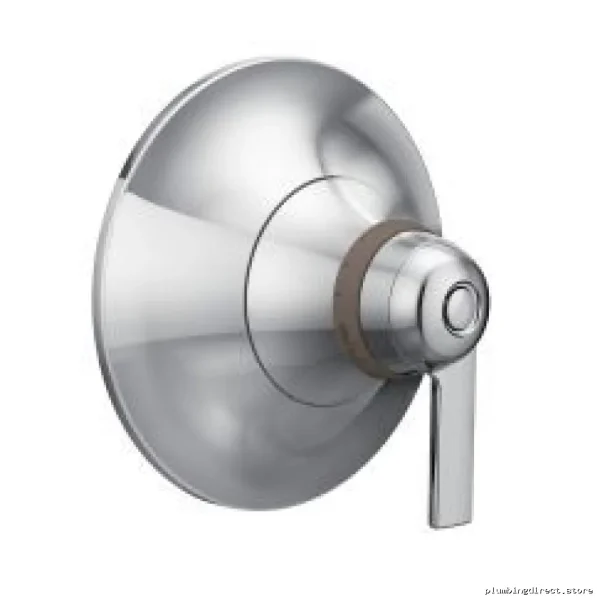 Chrome MoenTS Precision Temperature Control Valve Trim - DouxExactTech