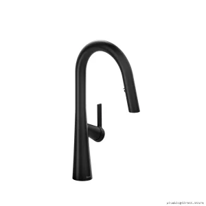 Premium Black Pull Down Kitchen Faucet - Ludik LK101BK
