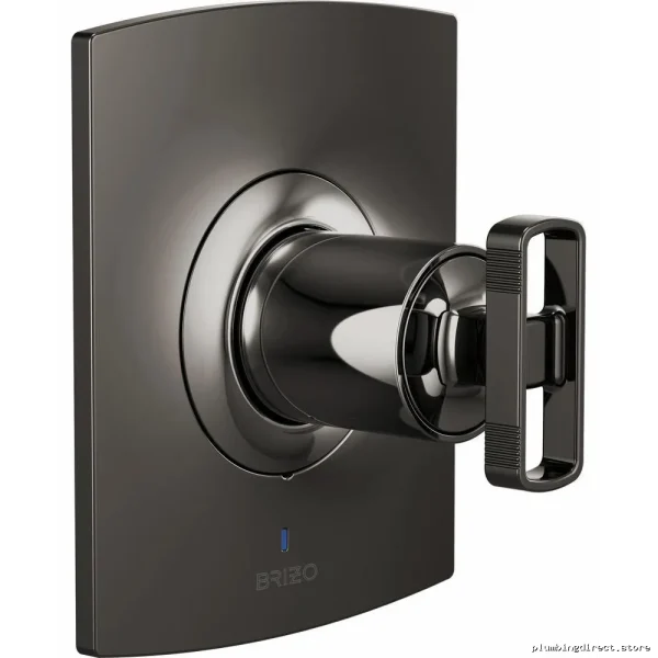 Pressure Balanced Shower Valve Trim & Handle Set - Brizo Black Onyx - Image 2