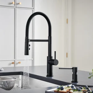 Professional Kitchen Faucet with Pull-Down Spray & Rubber Hose - Matte Black | Catris Flexo