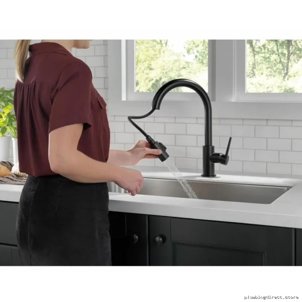 Pull-Down Kitchen Faucet High-Efficiency 1.5 GPM Matte Black 9159-BL-DST-1.5 Trinsic - Image 2