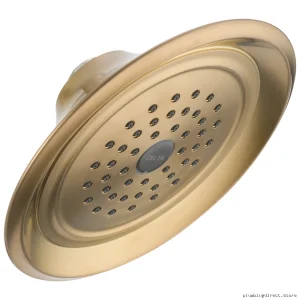 Raincan 1-Setting Champagne Bronze Delta Shower Head RP48686CZ