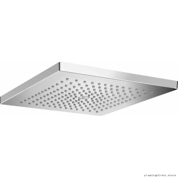 Raindance E 300 Full-Coverage Chrome Shower Head | Hansgrohe