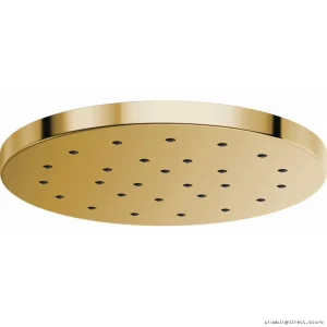 H2OKinetic Rainfall Shower Head with Polished Gold Finish - Brizo Luxury
