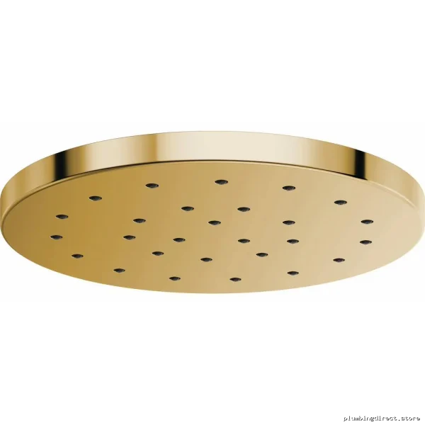 H2OKinetic Rainfall Shower Head with Polished Gold Finish - Brizo Luxury