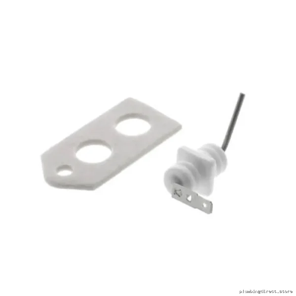 RINNAI Genuine Flame Rod Kit 104000022 for Water Heater Replacement