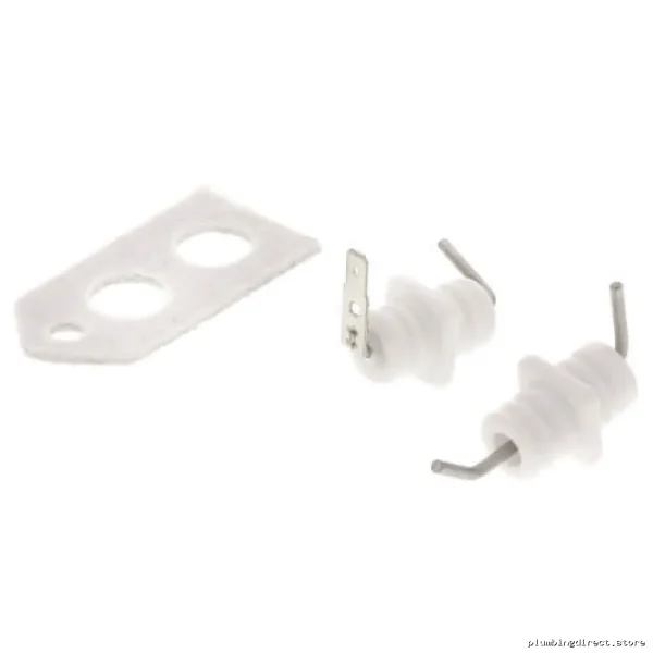RINNAI Electrode, Flame Rod & Gasket Replacement Kit for Model 104000011-K