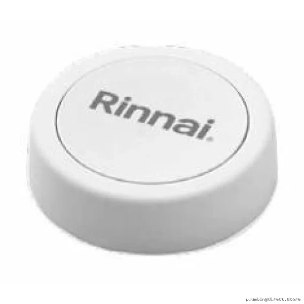 Rinnai RPB200 Hot Water Recirculation Controller