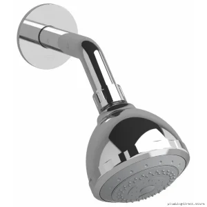 Chrome Triple-Function Round Shower Head with Adjustable Arm | RIOBEL Model #308C