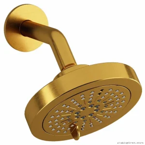 RioBel 366BG Dual Spray Round Showerhead with Adjustable Arm - Brushed Gold Finish