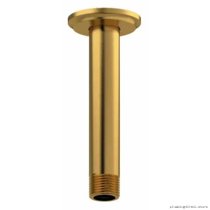 Brushed Gold 6-Inch Ceiling Mount Shower Arm with Round Plate - RIOBEL 558BG