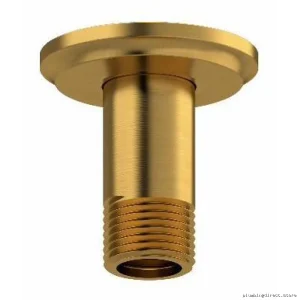 Brushed Gold Round Ceiling Shower Arm with Escutcheon - RIOBEL 559BG