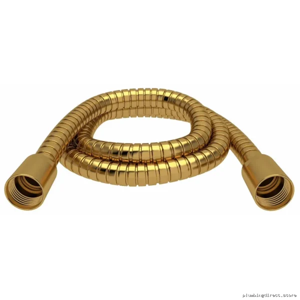 Luxury Brushed Gold 59-Inch Metal Shower Hose by RIOBEL 7259BG