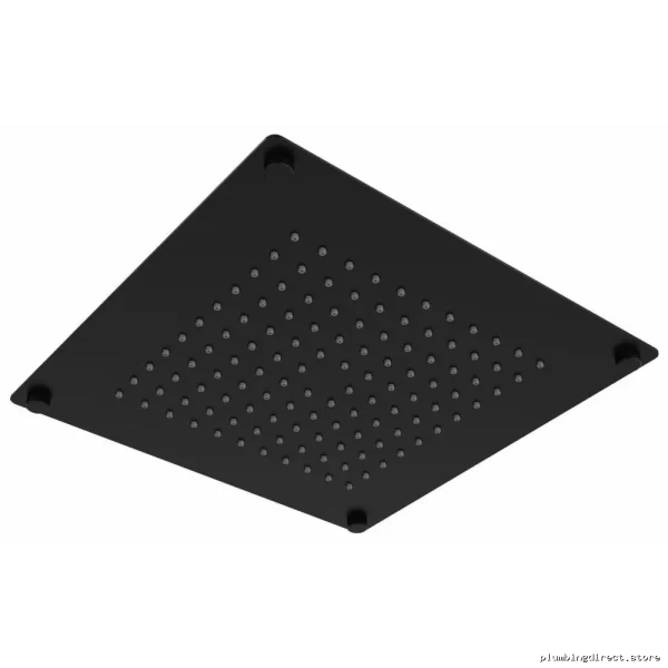 RioBel 480BK-WS Black Showerhead: 10 Rain Jets, 1.8 GPM Water-Saving Design