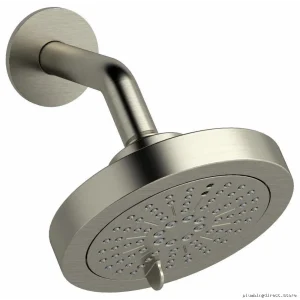 RIOBEL Dual Spray Round Showerhead Swivel Neck - Water-Saving 1.8 GPM Brushed Nickel