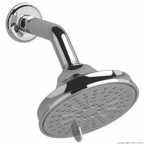 RIOBEL Chrome Round Shower Head with Adjustable Arm 1.8 GPM Water Saving