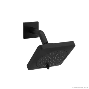 RIOBEL Dual-Function Square Showerhead w/Adjustable Arm - Black