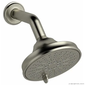 RioBel Momenti 5 Brushed Nickel Showerhead 2-Function 1.8 GPM with Arm