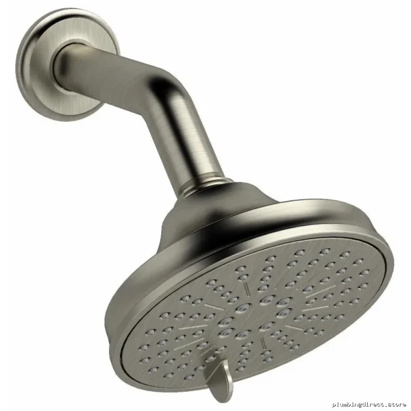 RioBel Momenti 5 Brushed Nickel Showerhead 2-Function 1.8 GPM with Arm