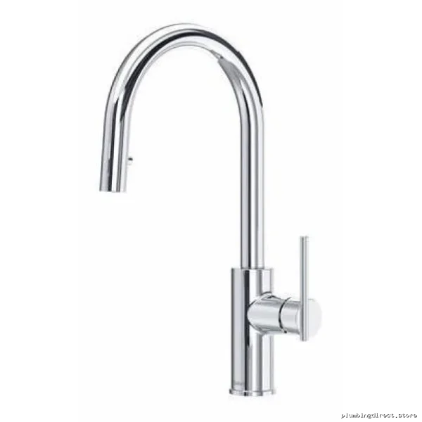 Premium RIOBEL Chrome Kitchen Faucet with Pull-Down Spray