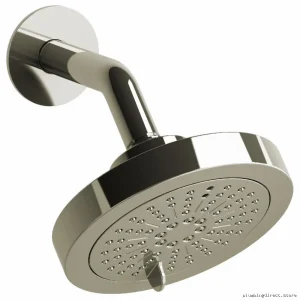 RioBel Round Showerhead with Arm - Dual Spray Function, Polished Nickel Finish