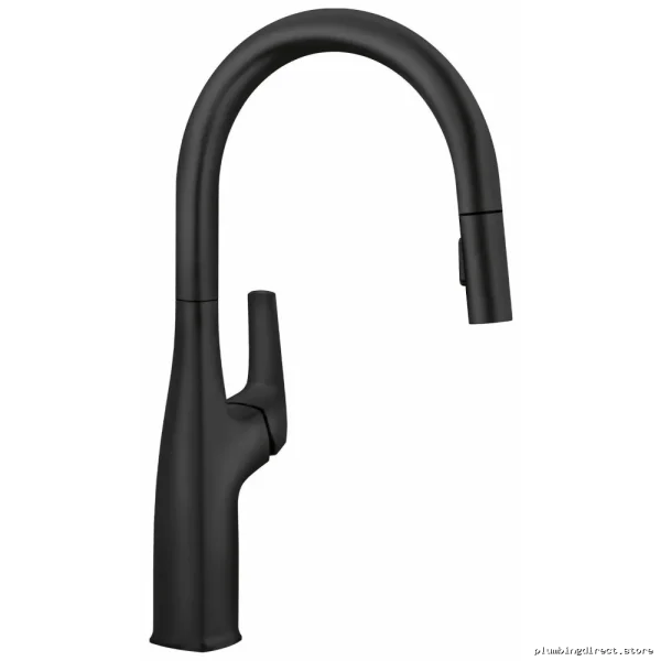 Matte Black Pull-Down Sprayer Kitchen Faucet | Rivanna Model