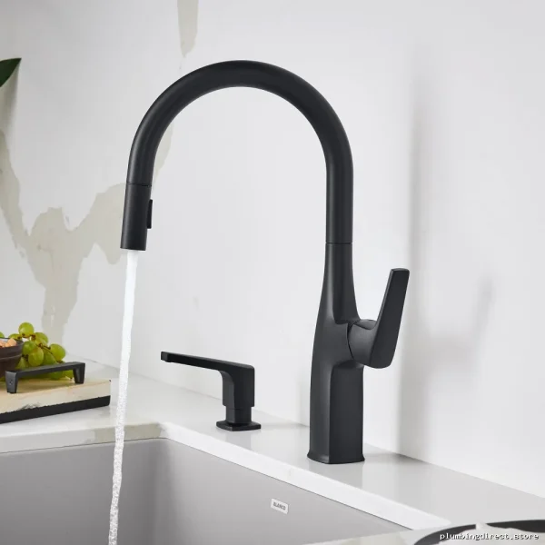 Matte Black Pull-Down Sprayer Kitchen Faucet | Rivanna Model - Image 5