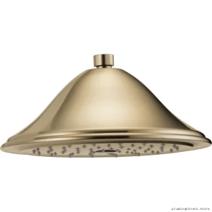 Rook Raincan RP52090GL Ceiling-Mount Rainfall Shower Head in Brilliance Luxe Gold with High-Pressure Spray