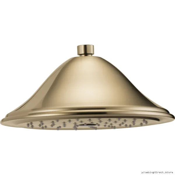 Rook Raincan RP52090GL Ceiling-Mount Rainfall Shower Head in Brilliance Luxe Gold with High-Pressure Spray
