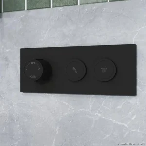 RoundOne THBTSBS Thermostat & Push Button Shower System w/Vertical Ceiling Mount - Sleek Valve Design in Matte Black
