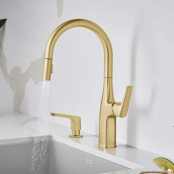 Rivana Satin Gold Kitchen Faucet with Pull-Down Spray - Model 442985 Blanco - Image 2