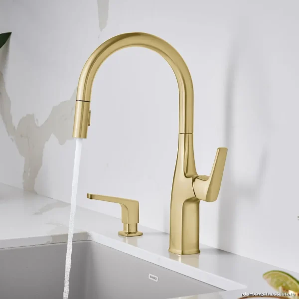 Rivana Satin Gold Kitchen Faucet with Pull-Down Spray - Model 442985 Blanco - Image 4