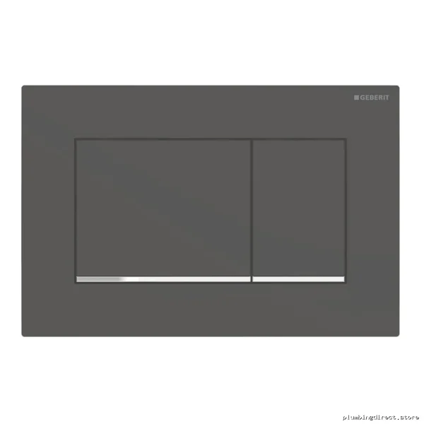 Sigma30 Dual-Flush Actuator Plate | Matte Black & Polished Chrome | GEBERIT Model 115.883.14