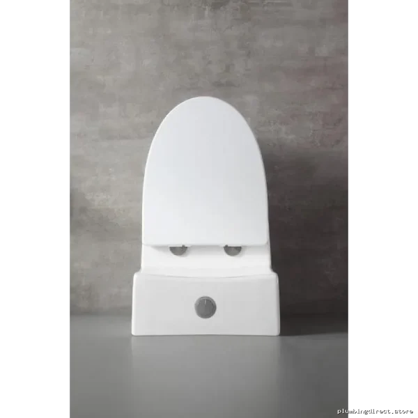 Dual Flush High-Efficiency One-Piece Toilet - SimmonsTall 16.5" White with Side Cover - Image 2