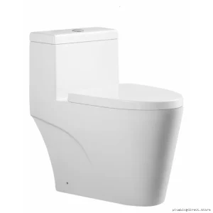 Dual Flush High-Efficiency One-Piece Toilet - SimmonsTall 16.5" White with Side Cover