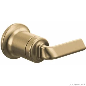 Single-Handle Wall Mount Faucet Handle Kit - Brilliance Luxe Gold HL5867-GL Brizo