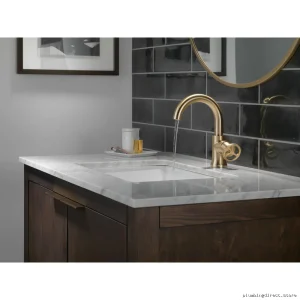 Trinsic Single-Hole Bathroom Faucet in Champagne Bronze Finish
