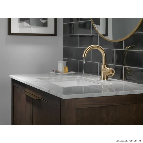 Trinsic Single-Hole Bathroom Faucet in Champagne Bronze Finish