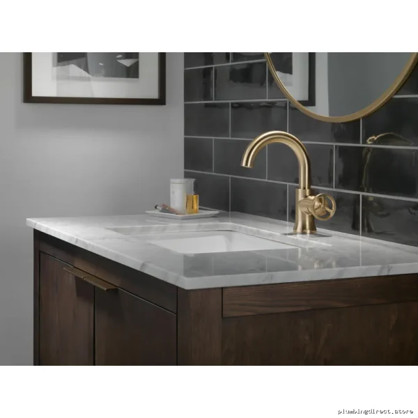 Trinsic Single-Hole Bathroom Faucet in Champagne Bronze Finish - Image 2