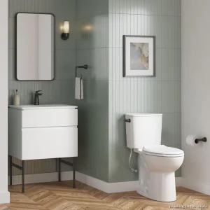 Sleek Matte Black Toilet Paper Holder by Aspirations - American Standard Model 7061230.243