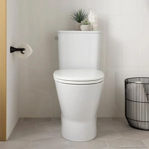 Sleek Matte Black Toilet Paper Holder by Aspirations - American Standard Model 7061230.243 - Image 2