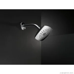 Raincan Venetian Bronze Delta Showerhead 1-Setting RP64859RB
